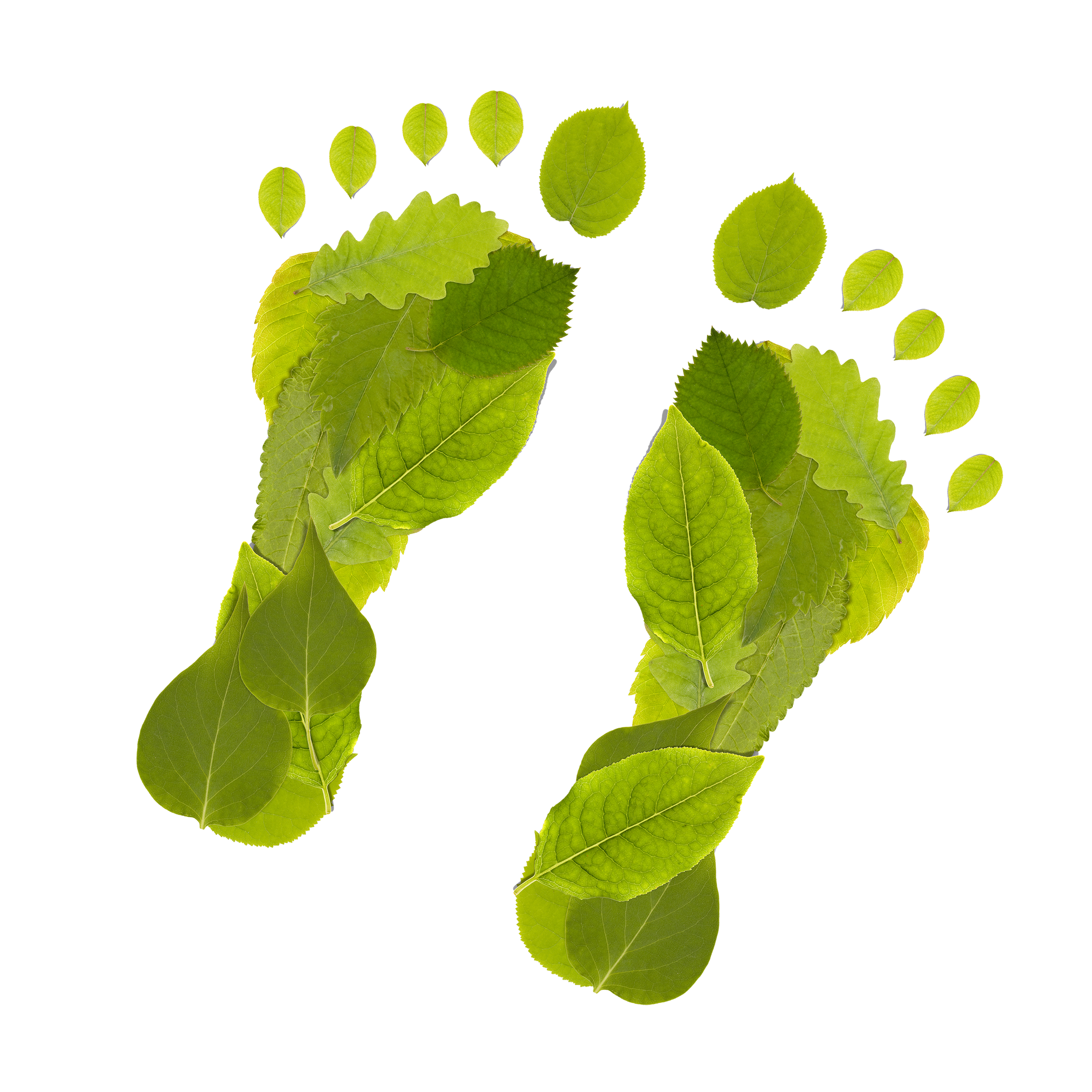 Carbonfootprint Copy