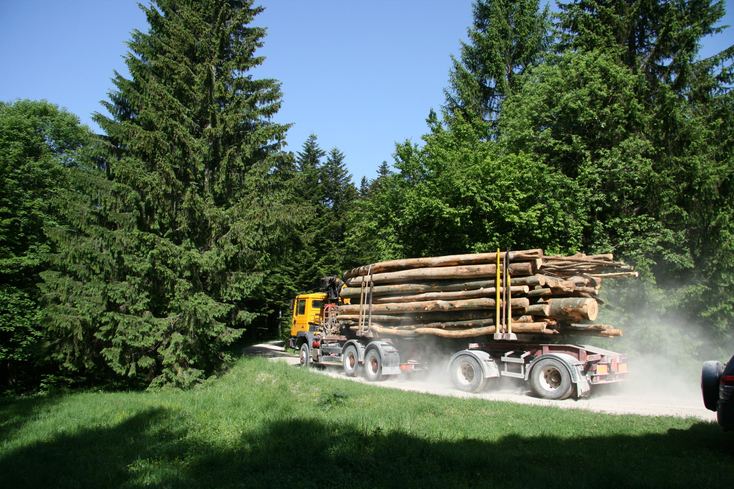 2014 Iccomms Slovenia Nat Logging (c)fsc Gd Milanreška 0061